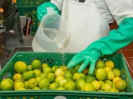 AGRO-ALIMENTAIRE