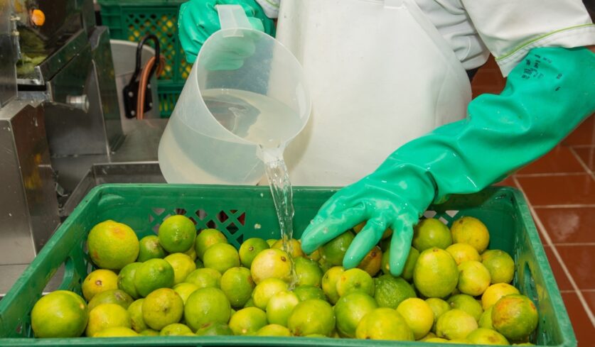 Worker,Washing,Oranges,With,Gloves,At,A,Food,Processing,Plant