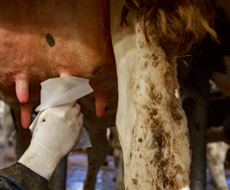 bcta-agroalimentaire-hotellerie-restauration-et-catering-industriel-sante-transport-veterinaire-536 (2)88