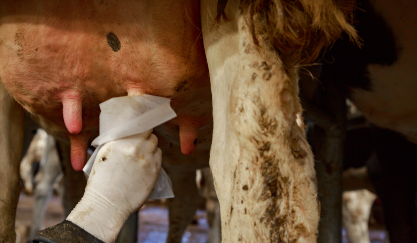 bcta-agroalimentaire-hotellerie-restauration-et-catering-industriel-sante-transport-veterinaire-536 (2)88