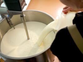 LAITERIE ET FROMAGERIE
